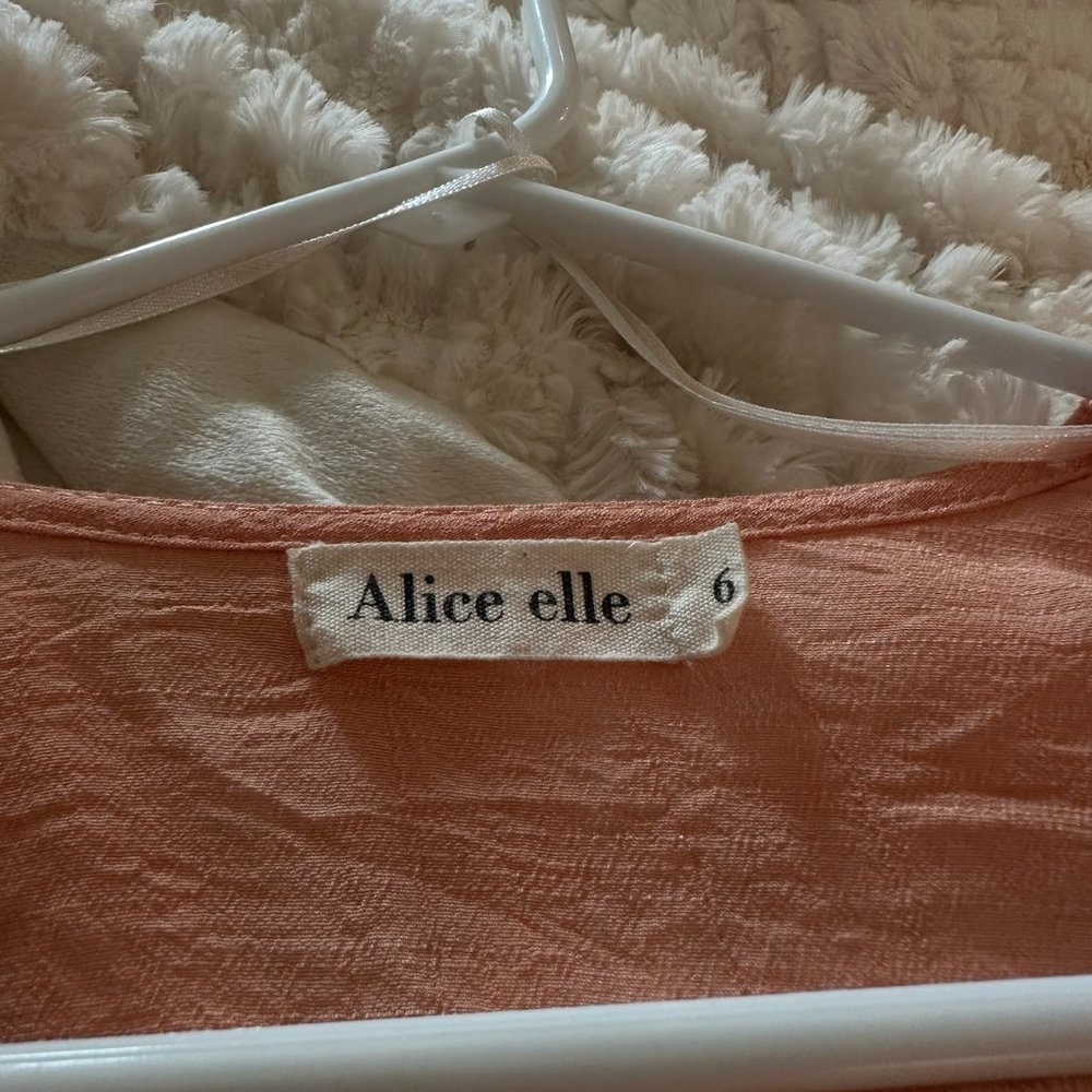 Alice elle longsleeve crop top